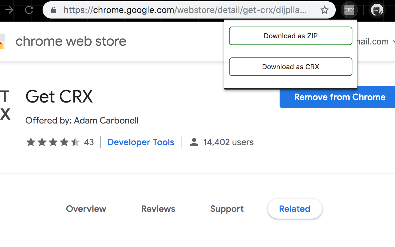 Extension Popup Interface